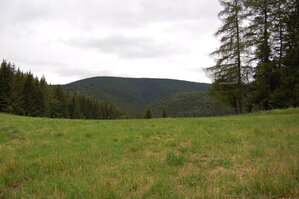 an1_005521.jpg