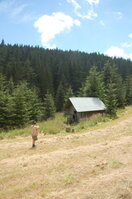 an1_005529.jpg