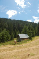 an1_005530.jpg