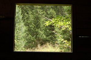 an1_005535.jpg