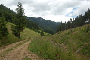 an1_005540.jpg