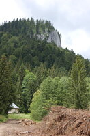 an1_005550.jpg