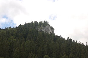 an1_005551.jpg