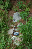 an1_005553.jpg