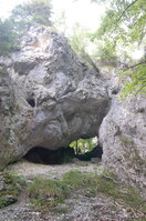 an1_005569.jpg