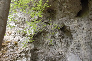 an1_005573.jpg