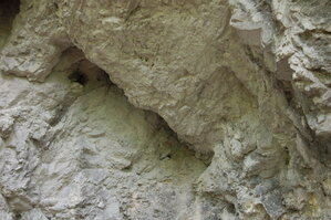 an1_005586.jpg