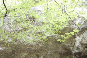 an1_005588.jpg