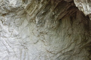 an1_005599.jpg