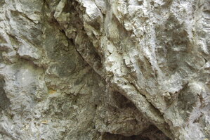 an1_005601.jpg