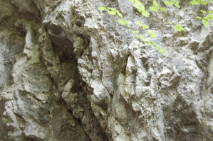 an1_005602.jpg