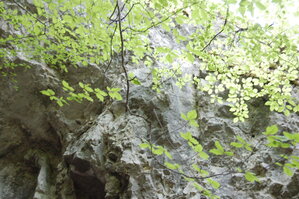 an1_005603.jpg