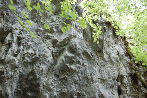 an1_005607.jpg