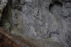 an1_005609.jpg
