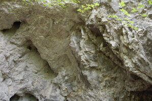 an1_005613.jpg