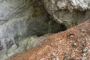 an1_005614.jpg