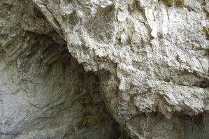 an1_005615.jpg