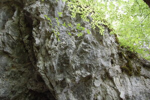 an1_005616.jpg