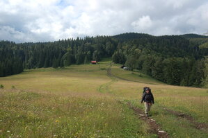 an1_005624.jpg