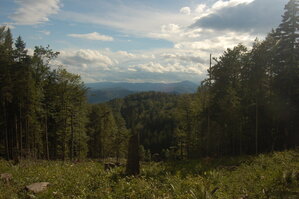 an1_005626.jpg