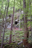 an1_005635.jpg