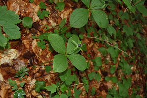 an1_005639.jpg