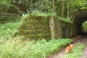 an1_005647.jpg