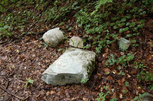 an1_005650.jpg