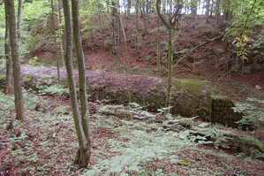 an1_005652.jpg