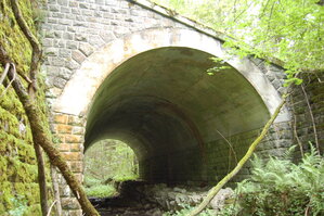 an1_005656.jpg