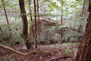 an1_005664.jpg