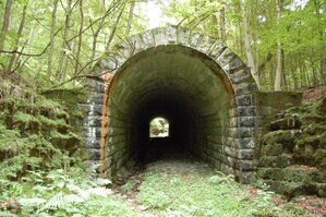 an1_005679.jpg