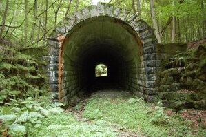an1_005680.jpg