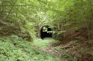 an1_005681.jpg