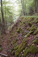 an1_005691.jpg
