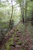 an1_005692.jpg
