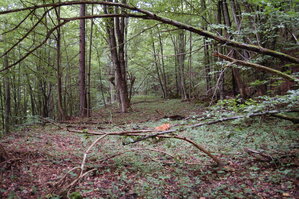 an1_005693.jpg