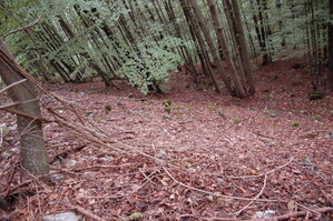 an1_005694.jpg