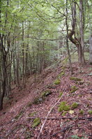 an1_005695.jpg
