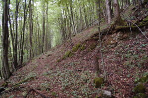 an1_005696.jpg