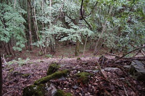 an1_005697.jpg