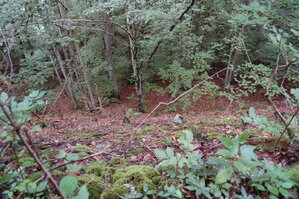 an1_005698.jpg