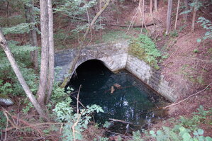 an1_005699.jpg