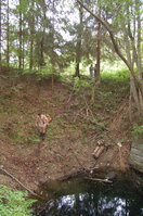 an1_005701.jpg
