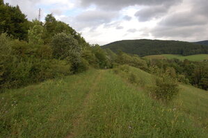 an1_005712.jpg