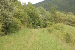 an1_005713.jpg