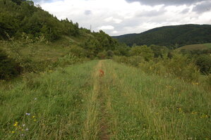 an1_005714.jpg