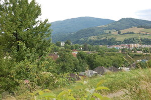 an1_005719.jpg