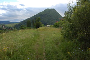 an1_005722.jpg