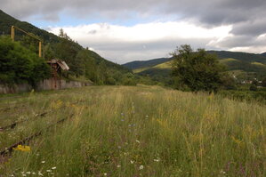 an1_005725.jpg